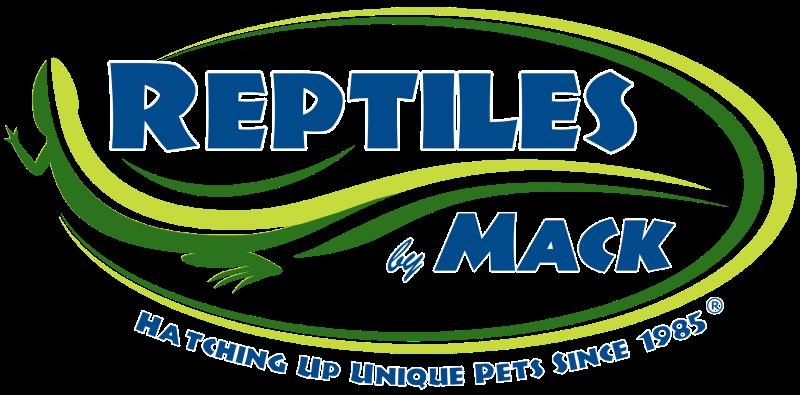 Reptiles By Mack